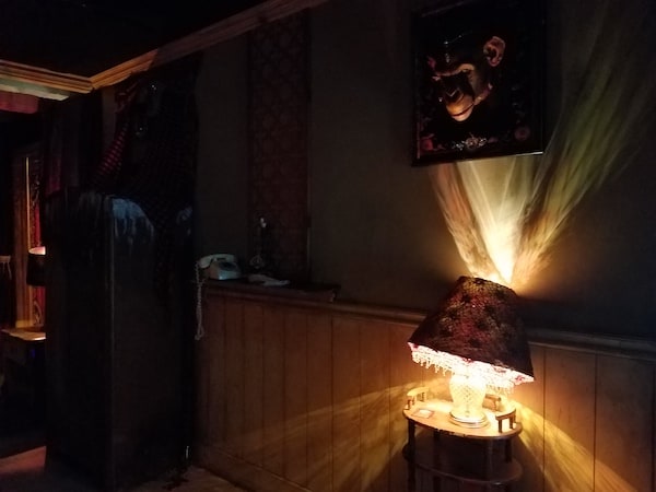 A lace-covered table lamp illuminates a dim room, including a framed monkey head.