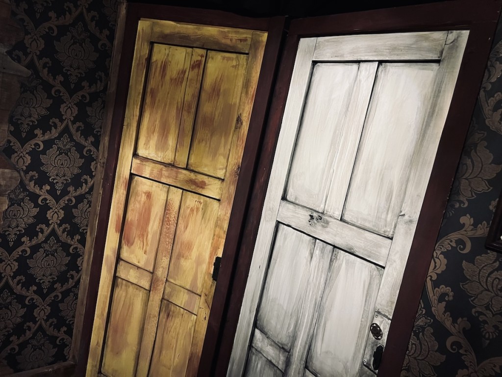 Two doors, one brown, the other white in a dark room.