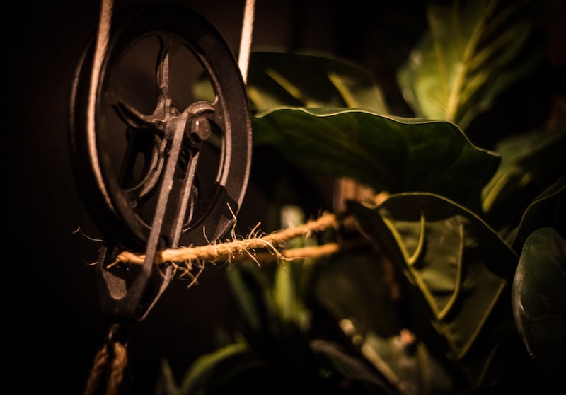 In-game: Closeup of a pully against some vegitation.