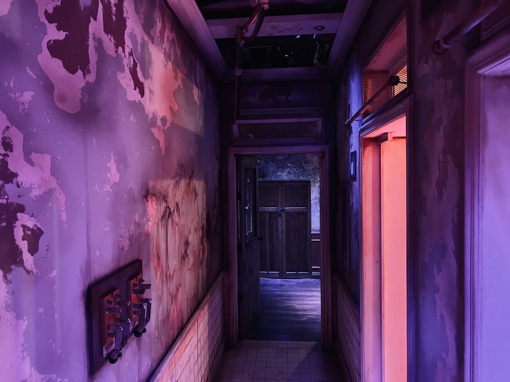 A long, decaying hallway in a rundown asylum.