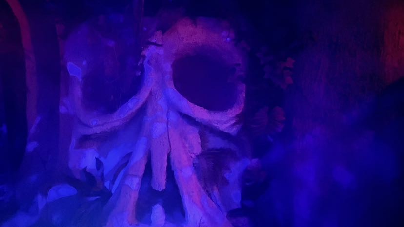 A large skull glowing blue in a hazy space.