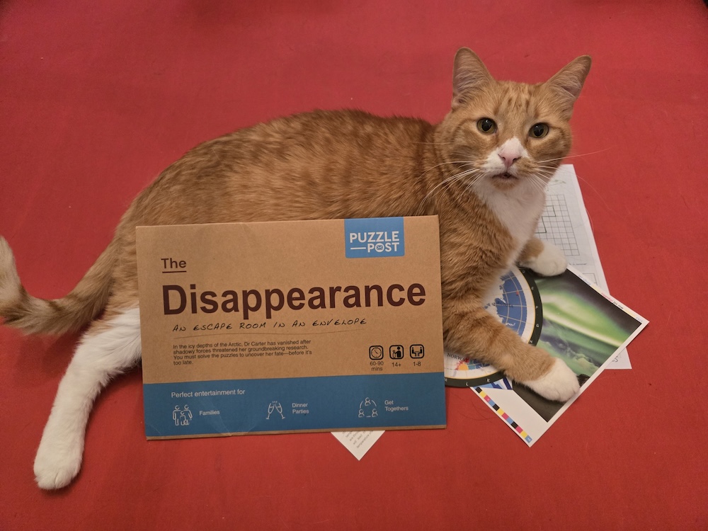 Puzzle Post – The Disappearance [Review]